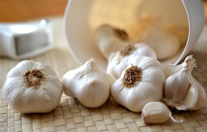 how to grow garlic in pots