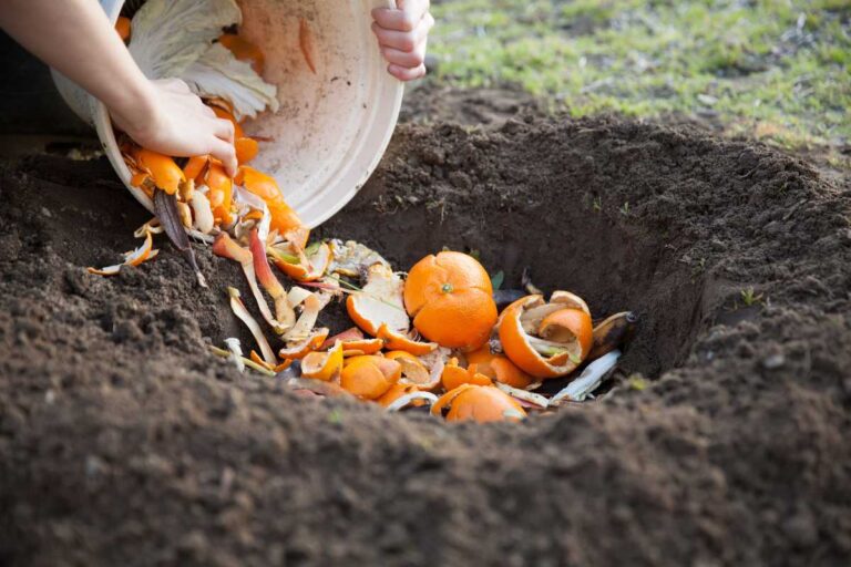 How Does Composting Work? Understanding the Basics of Composting
