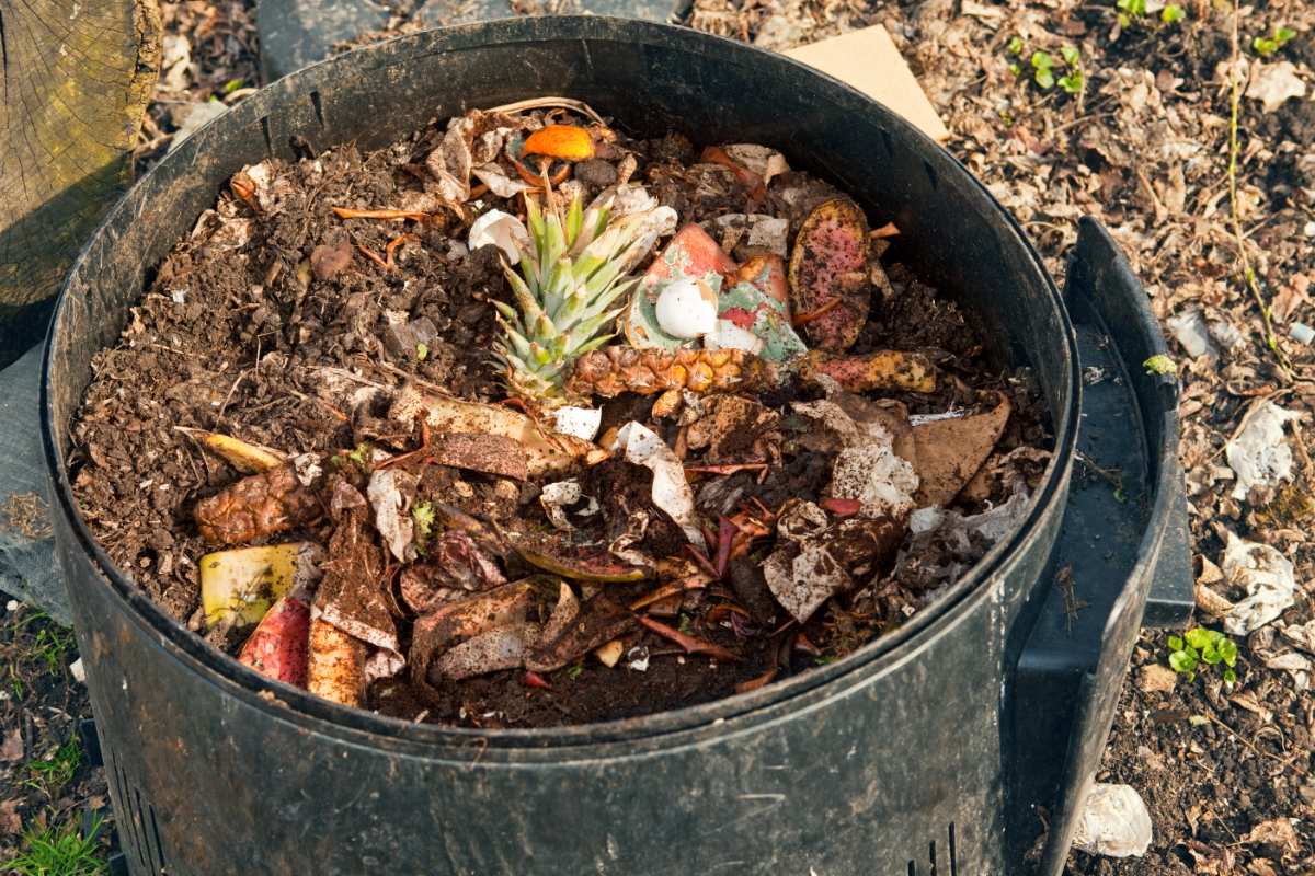 compost in a 5 gallon bucket