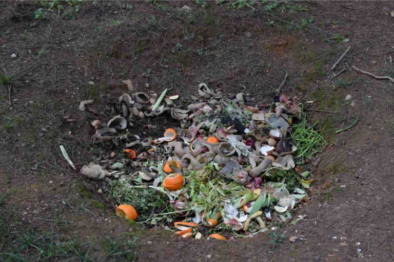 How to Compost in Ground?