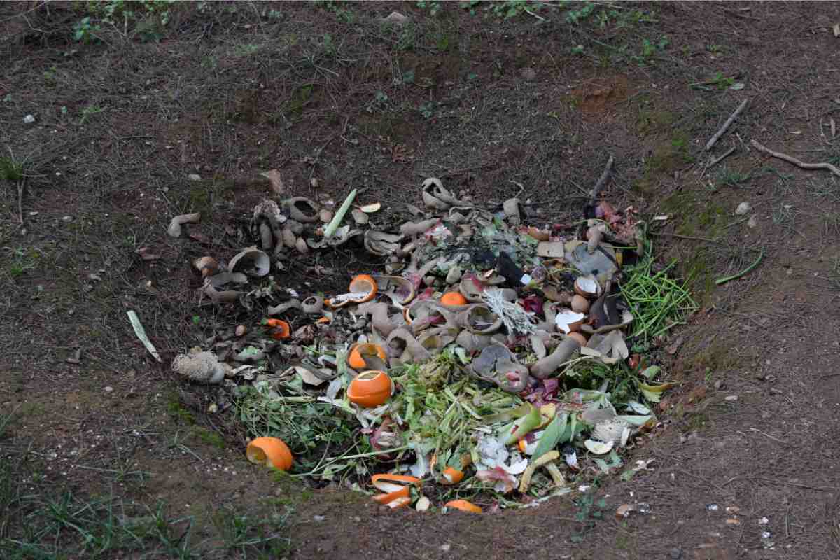 compost in ground